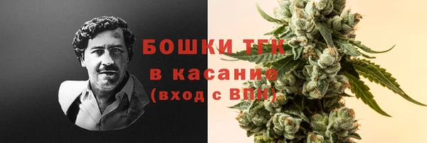 стафф Зеленокумск