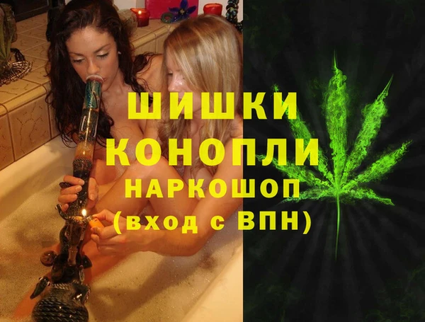стафф Зеленокумск