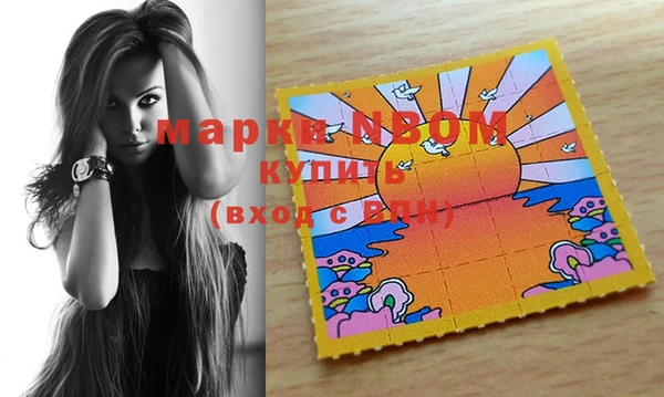 стафф Зеленокумск