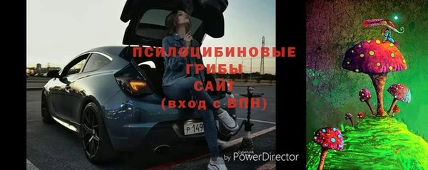 стафф Зеленокумск